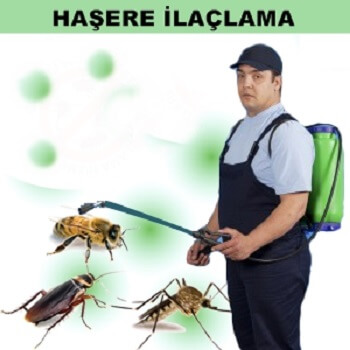 Havsa Böcek İlaçlama